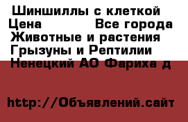 Шиншиллы с клеткой › Цена ­ 8 000 - Все города Животные и растения » Грызуны и Рептилии   . Ненецкий АО,Фариха д.